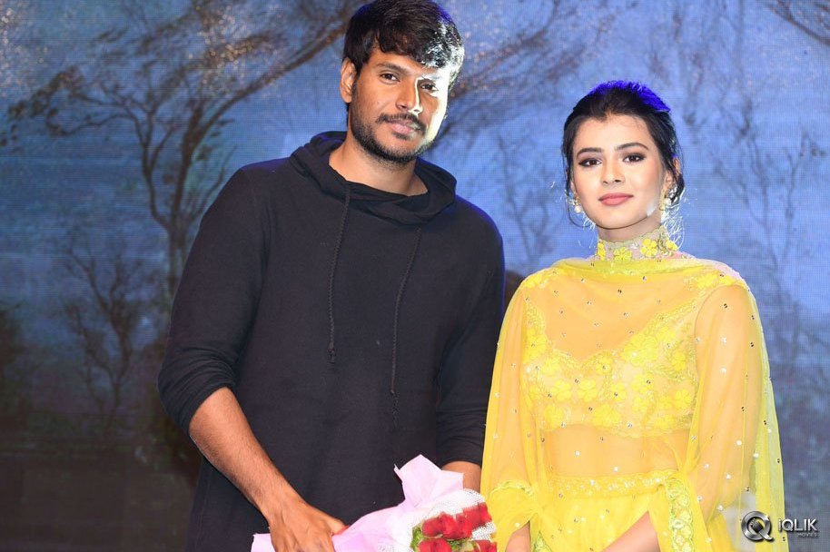 Ekkadiki-Pothavu-Chinnavada-Movie-Audio-Success-Meet